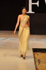 Model walk the ramp for Riyaz Gangji Show at IRFW 2012 Day 2 in Goa on 29th Nov 2012 (7).JPG